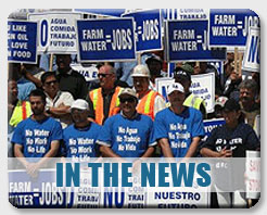 In The News