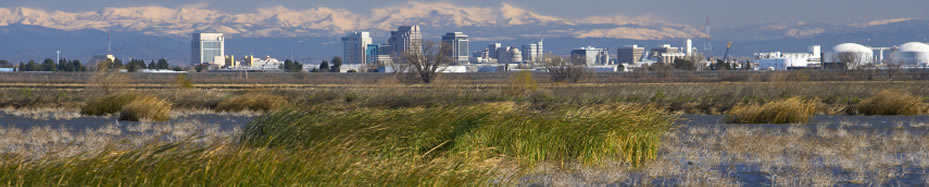 Sacramento Skyline From Yolo Causeway and Bird Sanctuary